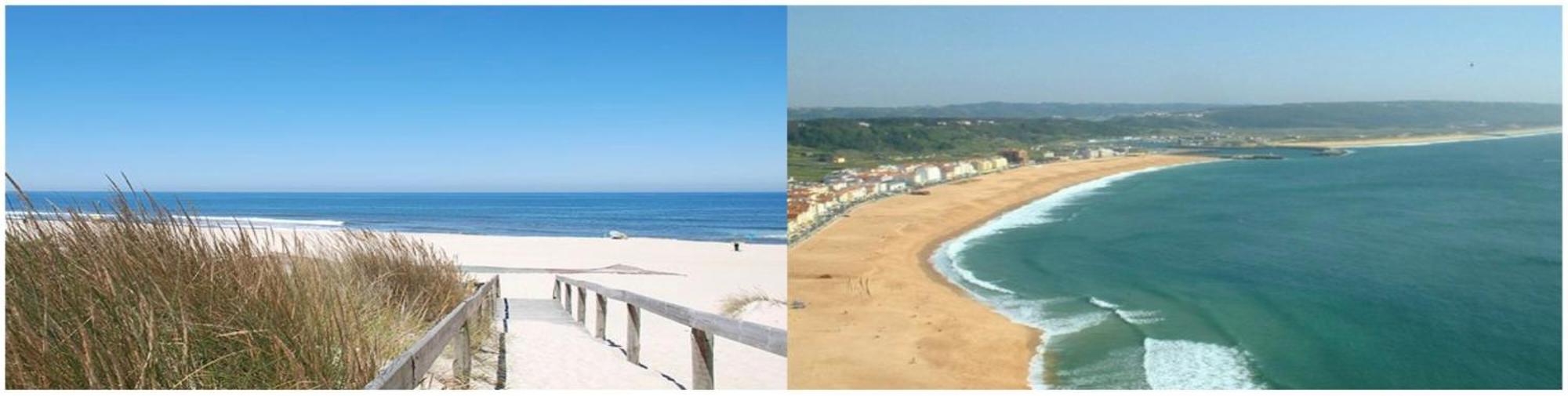 Camping Clareira *